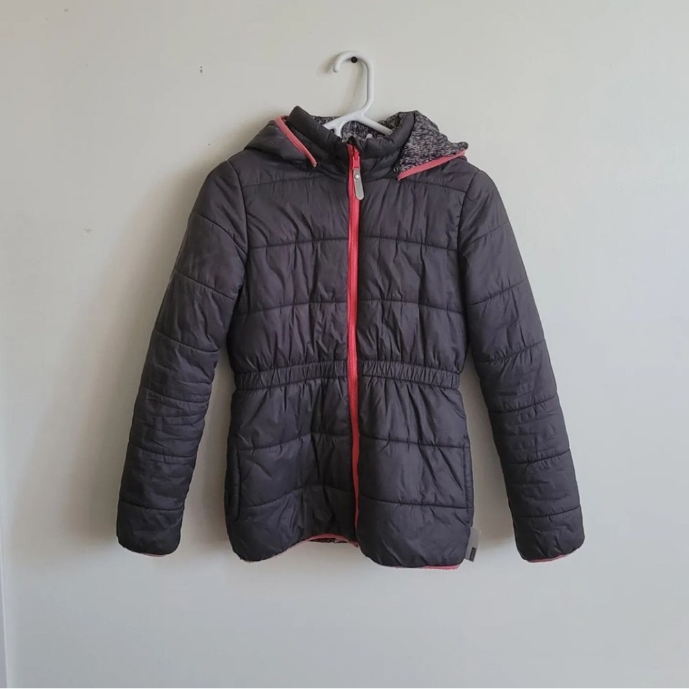 Grey Puffer